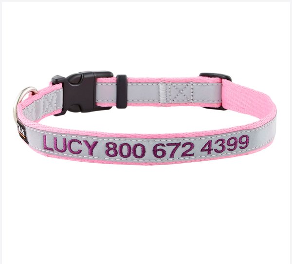 GOTAGS Nylon Personalized Reflective Dog Collar, Pink, Medium: 14 to 20 ...