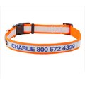 GoTags Nylon Personalized Reflective Dog Collar, Orange, Large: 17 to 27.5-in neck, 1-in wide