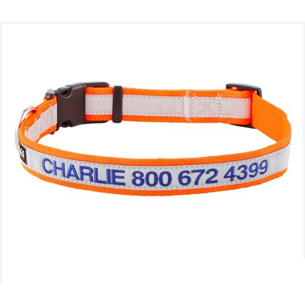 GOTAGS Nylon Personalized Reflective Dog Collar, Orange, Large 17 to 27.5in neck, 1in wide