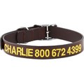 GoTags Leather Personalized Dog Collar, Dark Brown, 14 to 17-in neck, 1-in wide