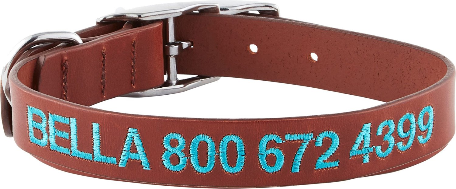 GoTags Nylon Personalized Dog Collar, Blue, X-Small: 8 to 12-in Neck, 3/8-in Wide