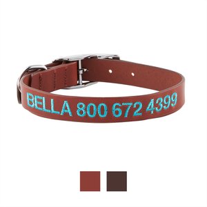 GoTags Leather Personalized Dog Collar, Light Brown, 14 to 17-in neck, 1-in wide
