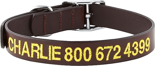 GoTags Leather Personalized Dog Collar, Dark Brown, 16 to 19-in neck, 1-in wide slide 1 of 7