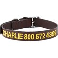 GoTags Leather Personalized Dog Collar, Dark Brown, 16 to 19-in neck, 1-in wide