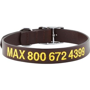 GoTags Leather Personalized Dog Collar, Dark Brown, 18 to 21-in neck, 1-in wide