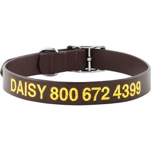 GoTags Leather Personalized Dog Collar, Dark Brown, 20 to 23-in neck, 1-in wide
