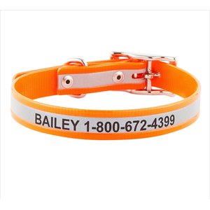 GoTags Waterproof Personalized Reflective Dog Collar, Orange, 14 to 16-in neck, 3/4-in wide