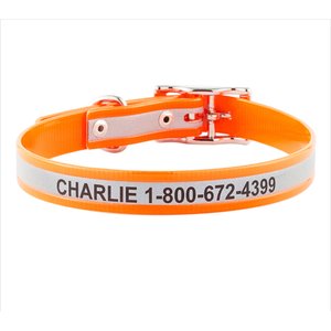 GoTags Waterproof Personalized Reflective Dog Collar, Orange, 16 to 18-in neck, 3/4-in wide