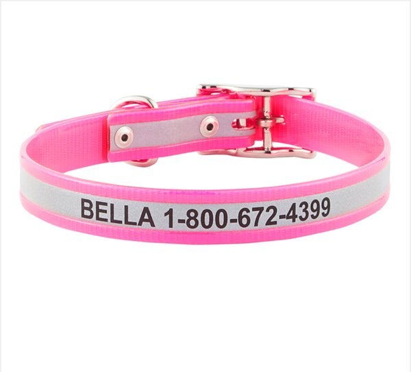 GoTags Waterproof Personalized Reflective Dog Collar, Pink, 16 to 18-in neck, 3/4-in wide slide 1 of 7