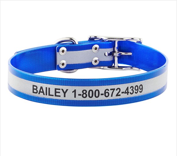 GoTags Waterproof Personalized Reflective Dog Collar, Blue, 18 to 21-in neck, 1-in wide slide 1 of 7