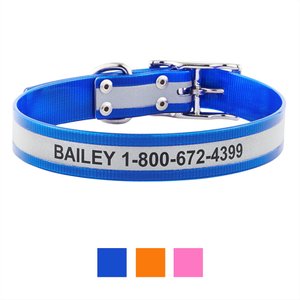 GoTags Waterproof Personalized Reflective Dog Collar, Blue, 18 to 21-in neck, 1-in wide