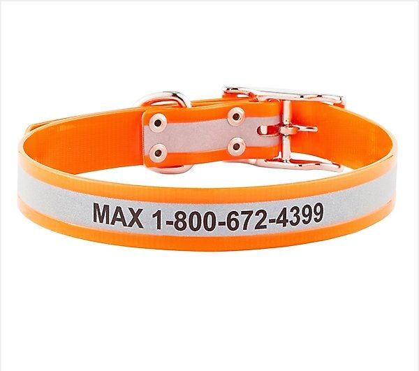 GoTags Waterproof Personalized Reflective Dog Collar, Orange, 18 to 21-in neck, 1-in wide slide 1 of 7