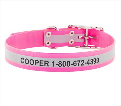 GoTags Waterproof Personalized Reflective Dog Collar, slide 1 of 1