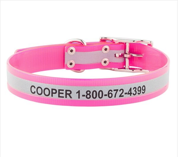 GoTags Waterproof Personalized Reflective Dog Collar, Pink, 18  to 21-in neck, 1-in wide slide 1 of 7