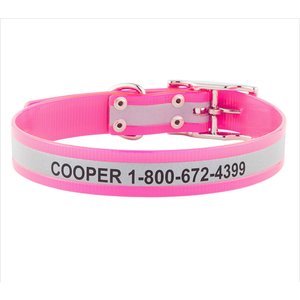 GoTags Waterproof Personalized Reflective Dog Collar, Pink, 18 to 21-in neck, 1-in wide