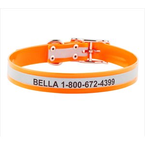 GoTags Waterproof Personalized Reflective Dog Collar, Orange, 20  to 23-in neck, 1-in wide
