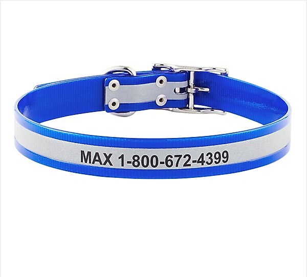 GoTags Waterproof Personalized Reflective Dog Collar, Blue, 22 to 25-in neck, 1-in wide slide 1 of 7