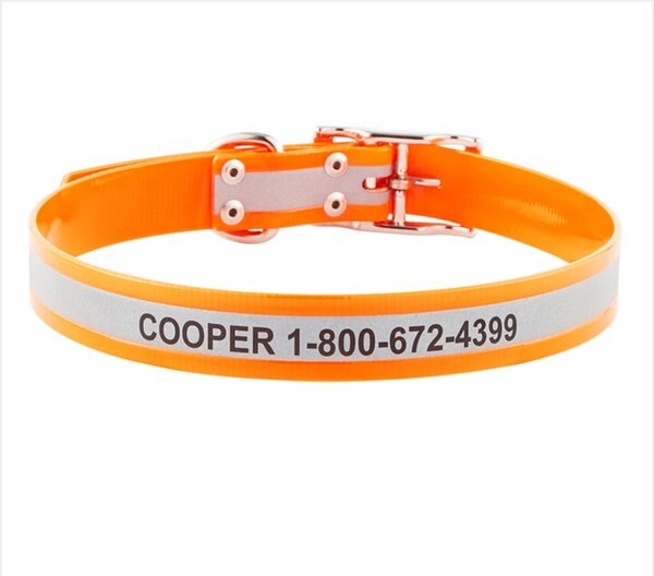 GoTags Waterproof Personalized Reflective Dog Collar, Orange, 22 to 25-in neck, 1-in wide slide 1 of 7