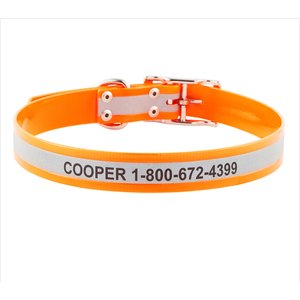 GoTags Waterproof Personalized Reflective Dog Collar, Orange, 22 to 25-in neck, 1-in wide