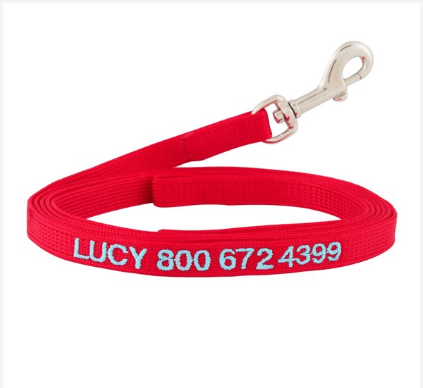 GoTags Nylon Personalized Dog Leash Red Small 6 ft Long 3 8 in Wide