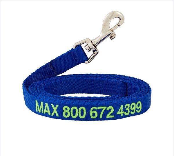 GoTags Nylon Personalized Dog Leash, Blue, Medium: 6-ft long, 5/8-in wide slide 1 of 6