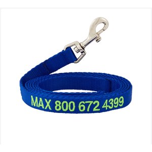GoTags Nylon Personalized Dog Leash, Blue, Medium: 6-ft long, 5/8-in wide