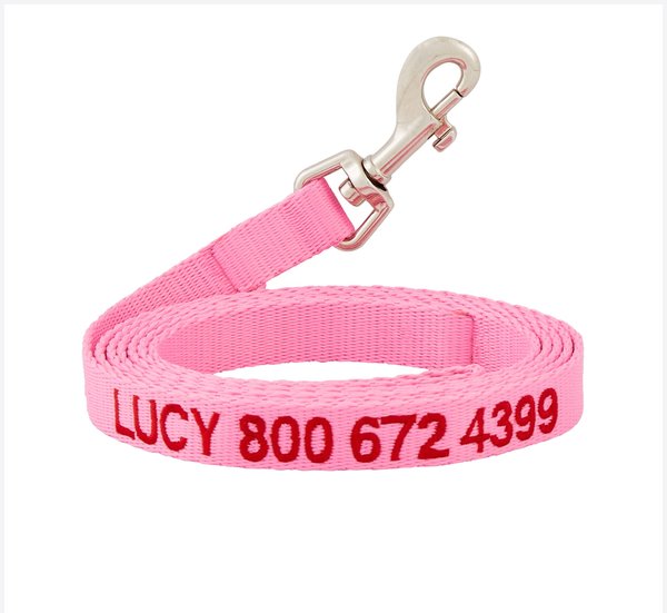 GoTags Nylon Personalized Dog Leash, Pink, Medium: 6-ft long, 5/8-in wide slide 1 of 6