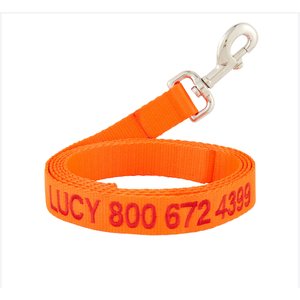 GoTags Nylon Personalized Dog Leash, Orange, Large: 6-ft long, 1-in wide