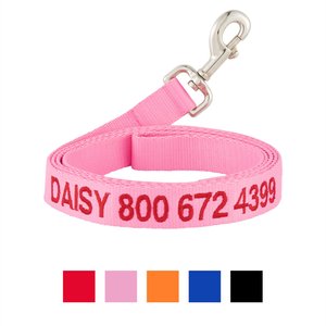GoTags Nylon Personalized Dog Leash, Pink, Large: 6-ft long, 1-in wide