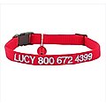 GoTags Nylon Personalized Breakaway Cat Collar with Bell, Red, 8 to 12-in neck, 1/2-in wide