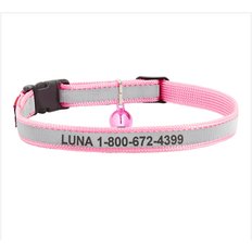 PINK CAT COLLARS (Free Shipping) | Chewy