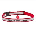 GoTags Nylon Personalized Reflective Breakaway Cat Collar with Bell, Red, 8 to 13-in neck, 1/2-in wide