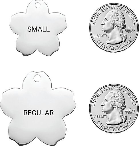 Frisco Stainless Steel Personalized Dog & Cat ID Tag, Flower, Small
