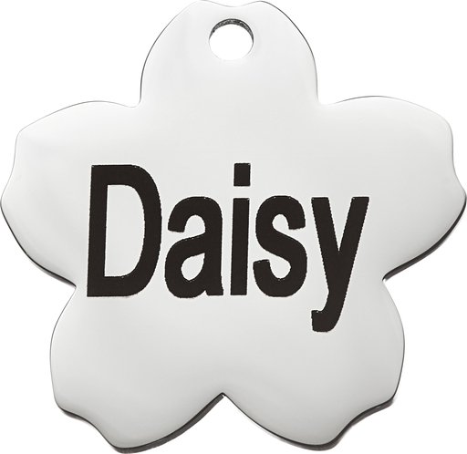 Frisco Stainless Steel Personalized Dog & Cat ID Tag, Flower, Small