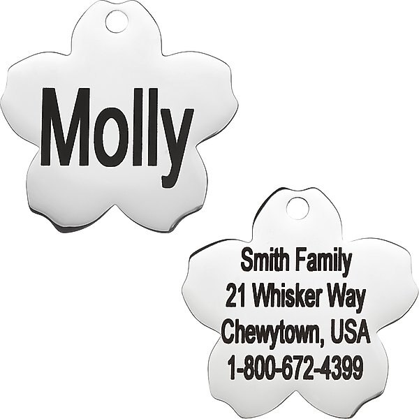 Frisco Stainless Steel Personalized Dog & Cat ID Tag, Flower, Regular slide 1 of 7