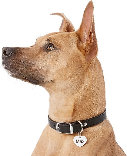 Frisco Stainless Steel Personalized Dog & Cat ID Tag, Heart, Silver, Regular
