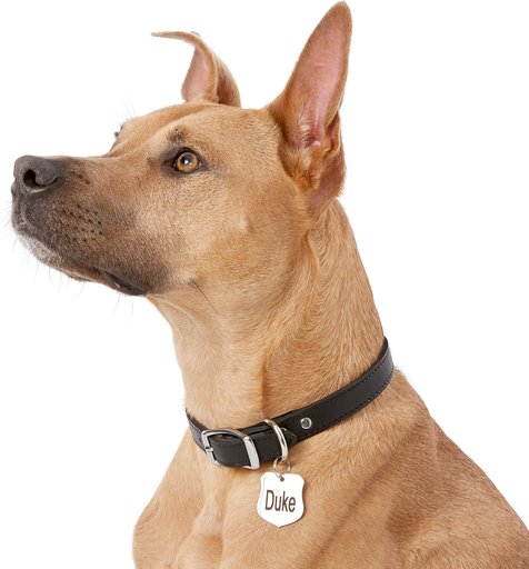 ✓ Top 5 Best Dog ID Tags in 2023 