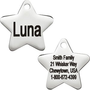Frisco Stainless Steel Personalized Dog & Cat ID Tag, Star, Small