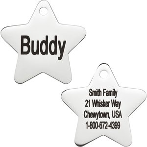 GoTags Personalized Stainless Steel Star ID Tag