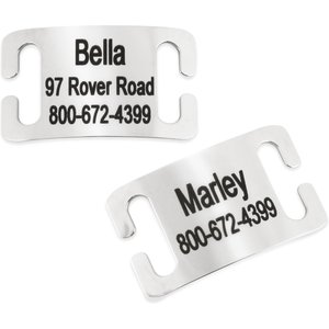 Frisco Stainless Steel Slide-On Personalized Dog & Cat Tag, Open Design, Medium