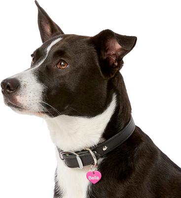 Show full view: GoTags Anodized Aluminum Personalized Dog ID Tag, Heart, Pink, Small slide 6 of 7