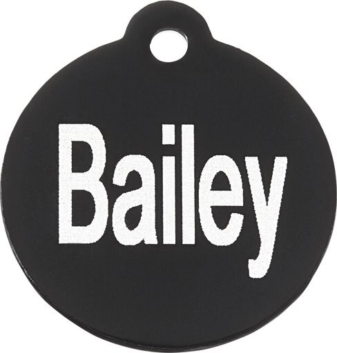 ✓ Top 5 Best Dog ID Tags in 2023 