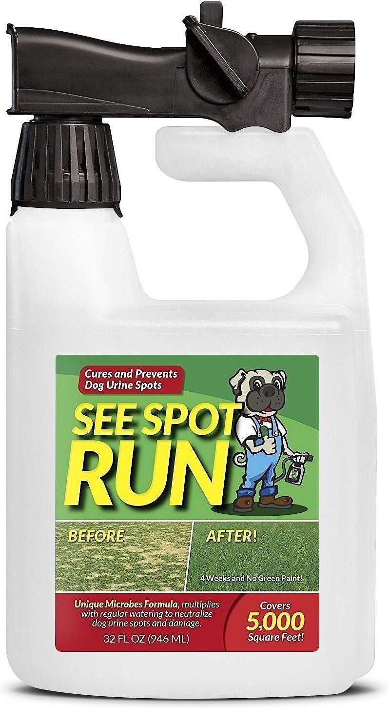 SEE SPOT RUN Dog Urine Grass Saver, 32oz bottle