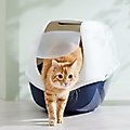 Frisco Hooded Cat Litter Box, Navy, 26-in