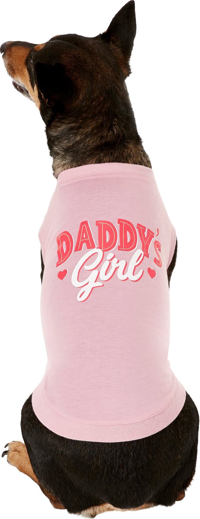 Daddy's Girl Dog Collar