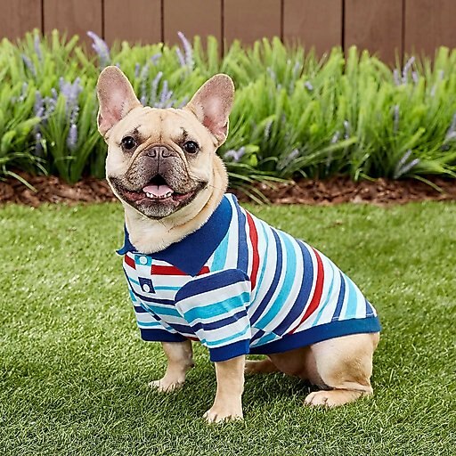 Frisco Striped Dog & Cat Polo Shirt, Red & Blue, Small