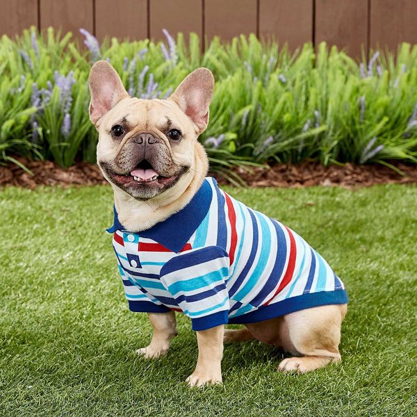 Frisco Striped Dog & Cat Polo Shirt, Red & Blue, Medium slide 1 of 10
