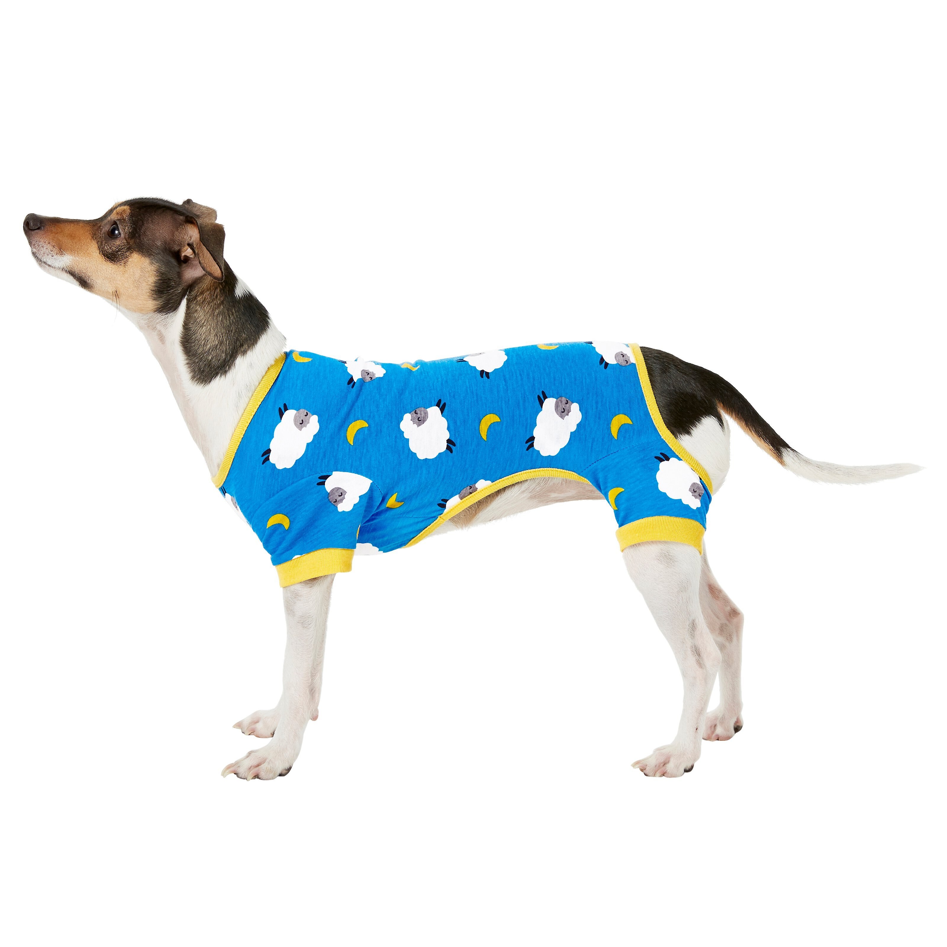 Frisco Raincloud Print Dog & Cat Jersey PJs