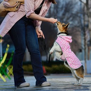 Frisco Lightweight Reversible Packable Travel Dog Raincoat, Pink, Small