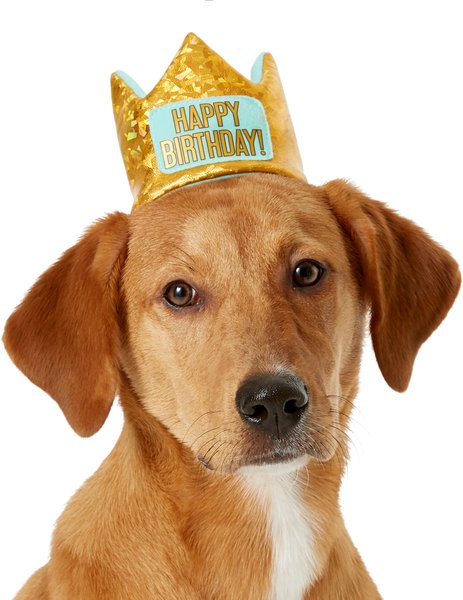 Frisco Happy Birthday Dog & Cat Crown, X-Small/Small slide 1 of 8